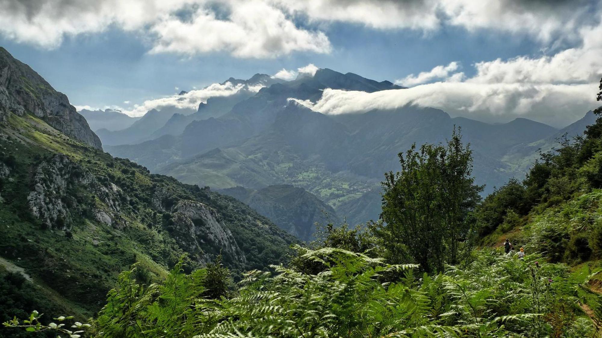 Posada Valle Del Oso Lerones المظهر الخارجي الصورة